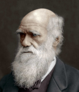 Darwin