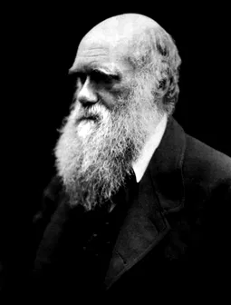 Charles Darwin L