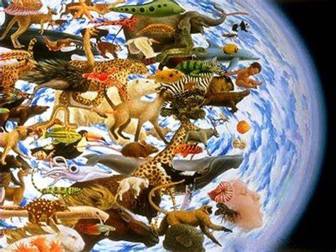 Diversidade Biologica