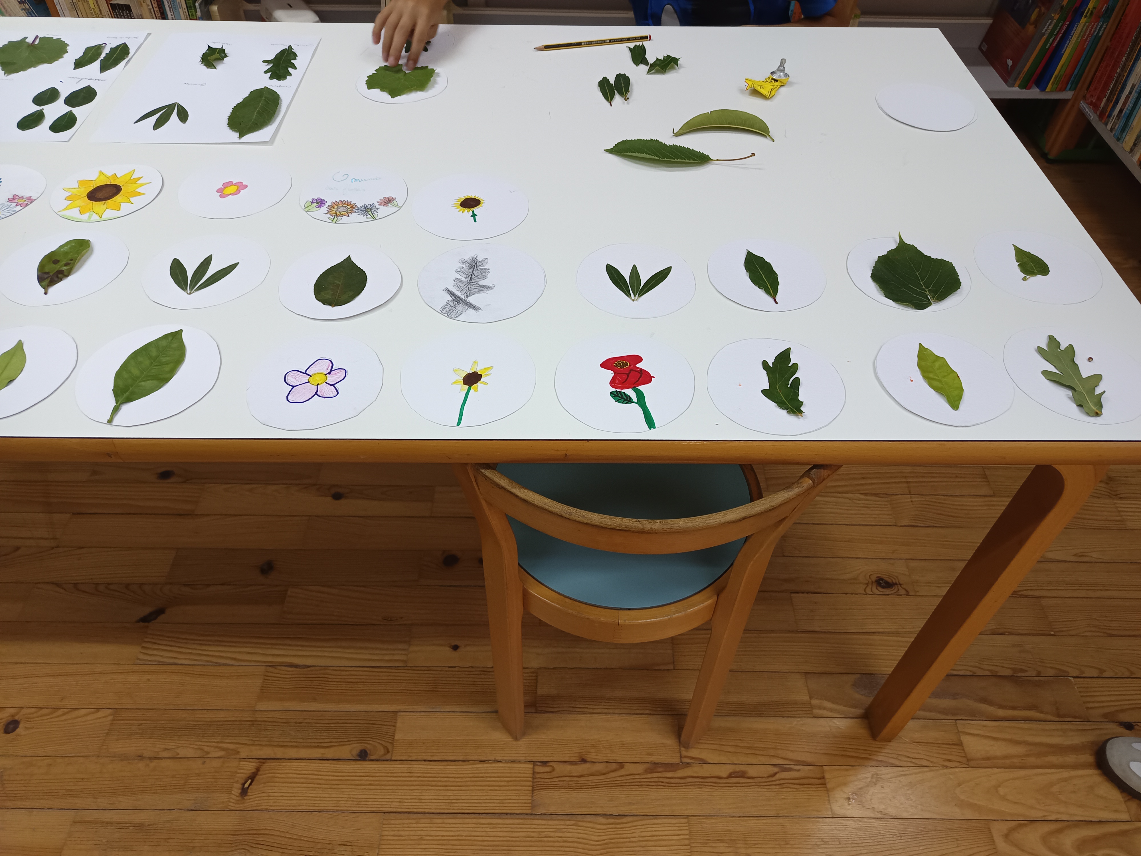 Espantaeencanta (12) Espantaeencanta (12)