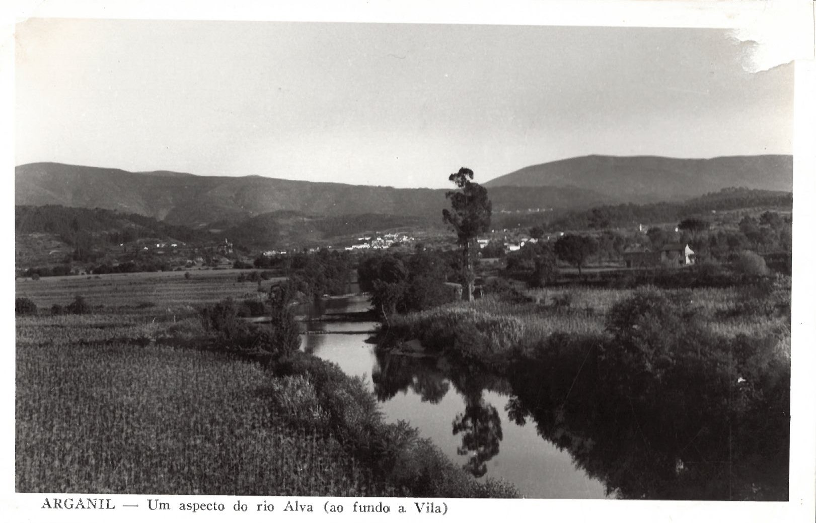 Campo Milho Beira Alva