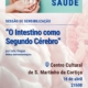 Cartaz O Intestino Como Segundo Cérebro