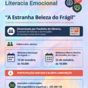 Cartaz “a Estranha Beleza Do Frágil”